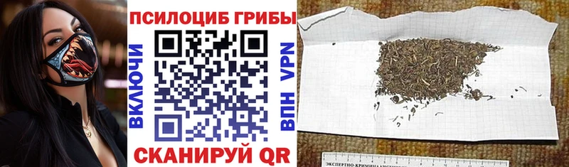 Галлюциногенные грибы GOLDEN TEACHER  Рузаевка 