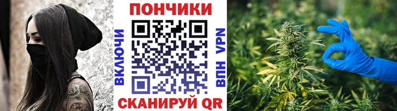 Бошки Шишки конопля  Рузаевка 